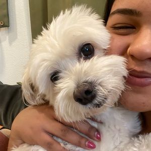 Meet your Posher, Katey